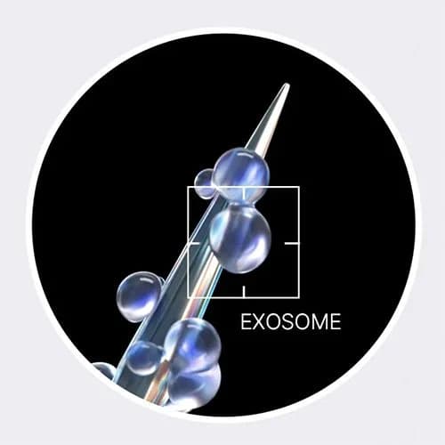 Medicube One Day Exosome Shot Pore Ampoule 7500 30ml