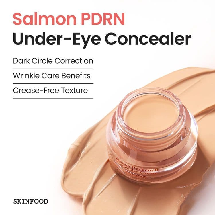 Skinfood Salmon Darkcircle Concealer Cream