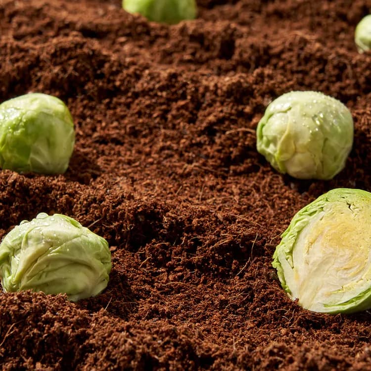 Tntnmom's cabbage krema za grudi za hlađenje